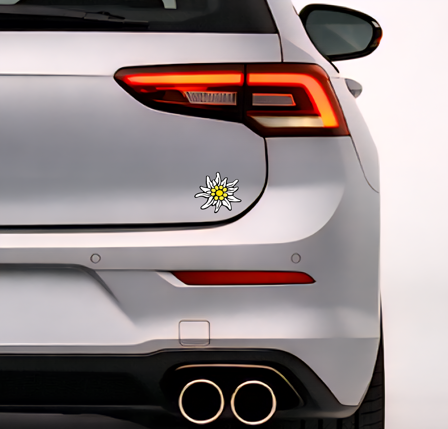 3x Edelweiß Aufkleber 🌼 Alpenblume Sticker – Stella Alpina 10×8 cm