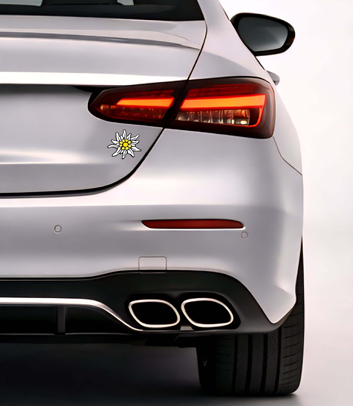 10x Edelweiß Aufkleber 🌼 Alpenblume Sticker – Stella Alpina 6,0×4,0 cm