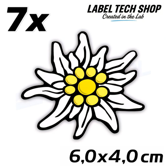 7x Edelweiß Aufkleber 🌼 Alpenblume Sticker – Stella Alpina 6,0×4,0 cm